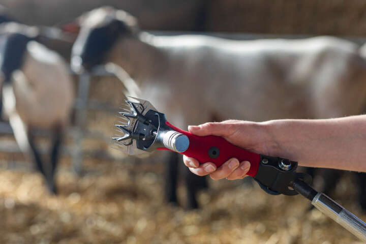 KERBL Wellington Schafschuranlage Worm-Drive